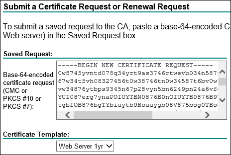 Web-Server-Sertificate2.png